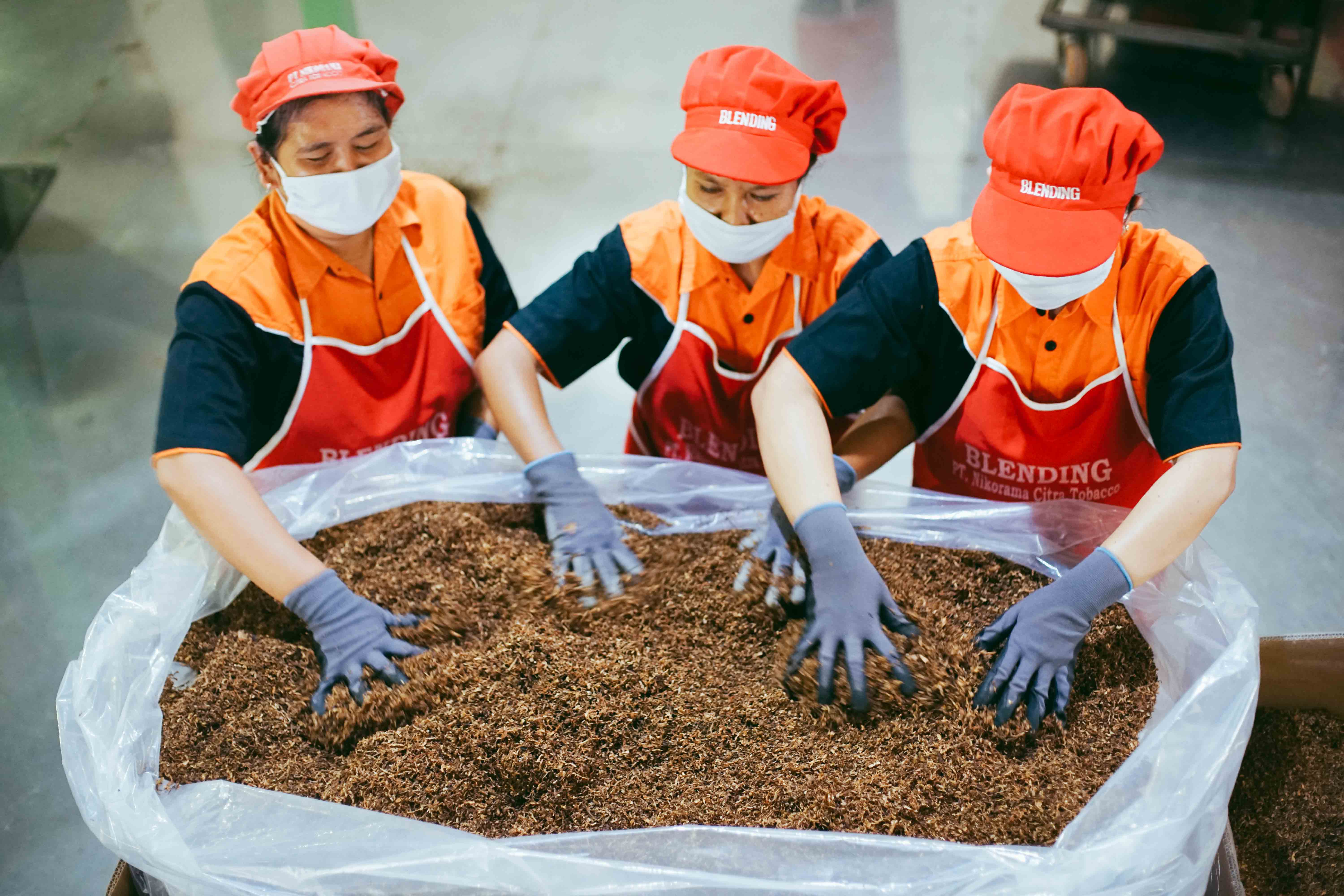 Export Image